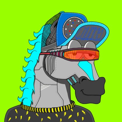  MR CHUMMY 🐴 147
