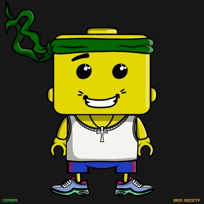 MiniBrix #13