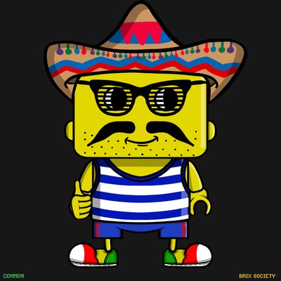 MiniBrix #15