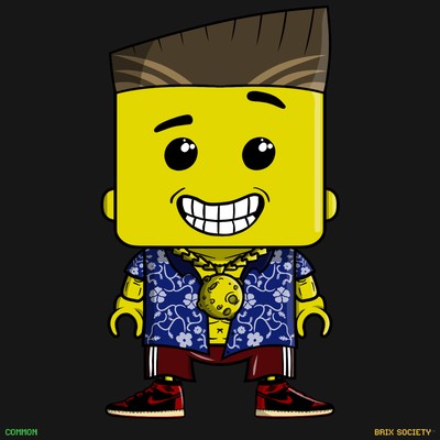 MiniBrix #100