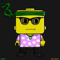 MiniBrix #110