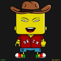 MiniBrix #196