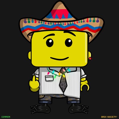 MiniBrix #313