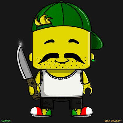 MiniBrix #345