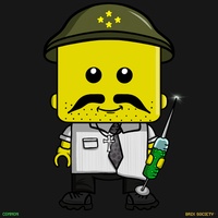 MiniBrix #363