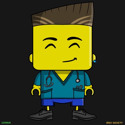 MiniBrix #376