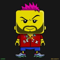 MiniBrix #633