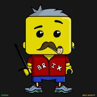 MiniBrix #689