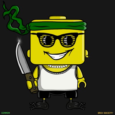 MiniBrix #844