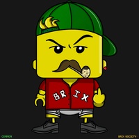 MiniBrix #1000
