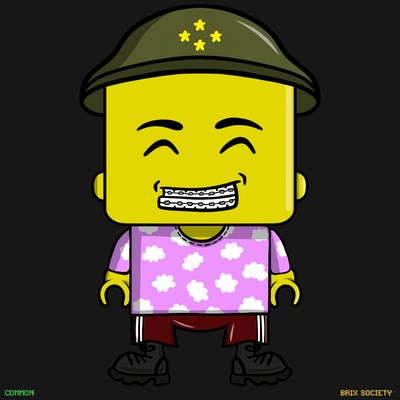 MiniBrix #1136