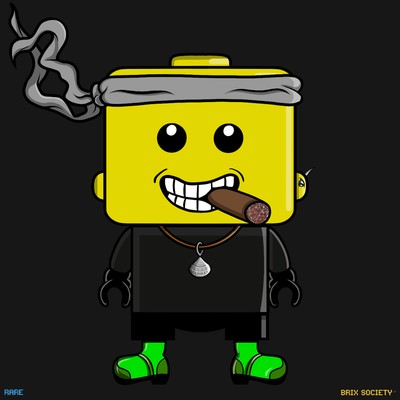 MiniBrix #1302