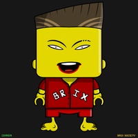 MiniBrix #1333