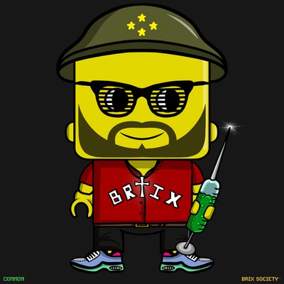 MiniBrix #1766