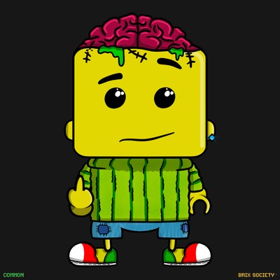 MiniBrix #1802