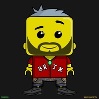 MiniBrix #1857