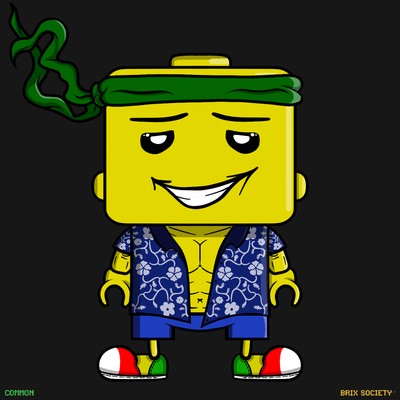 MiniBrix #2222