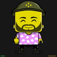MiniBrix #2443