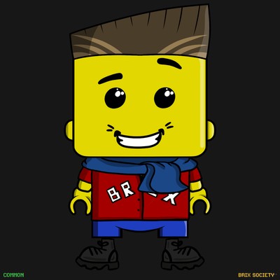 MiniBrix #2451