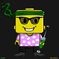 MiniBrix #2489