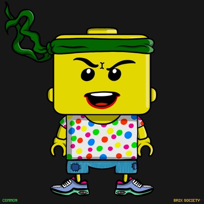 MiniBrix #2504