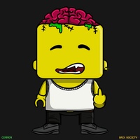 MiniBrix #2569