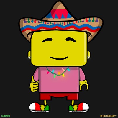 MiniBrix #2588