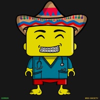 MiniBrix #2674