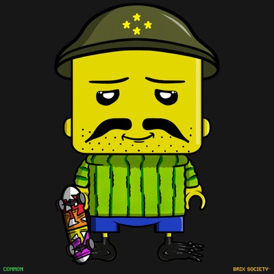MiniBrix #2688