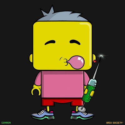 MiniBrix #2899
