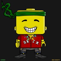 MiniBrix #3030