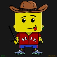 MiniBrix #3060