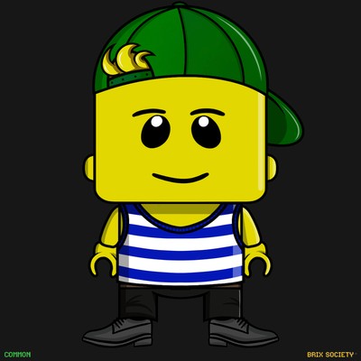 MiniBrix #3165