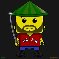 MiniBrix #3453