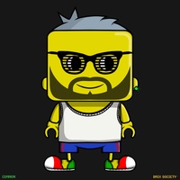MiniBrix #3832