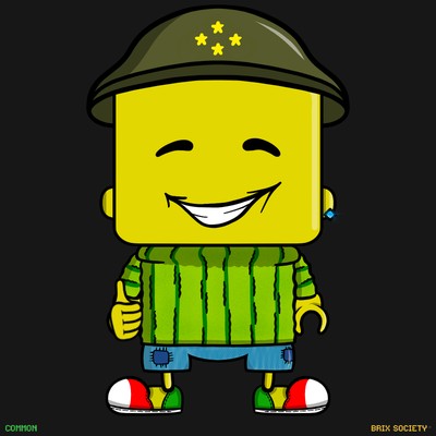MiniBrix #4166