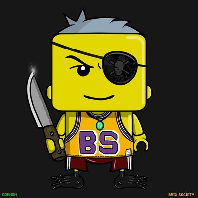 MiniBrix #4312