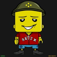 MiniBrix #4831