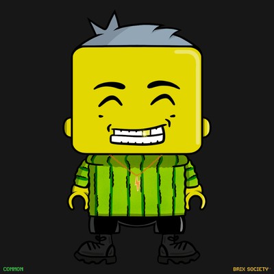 MiniBrix #5251