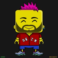 MiniBrix #5552