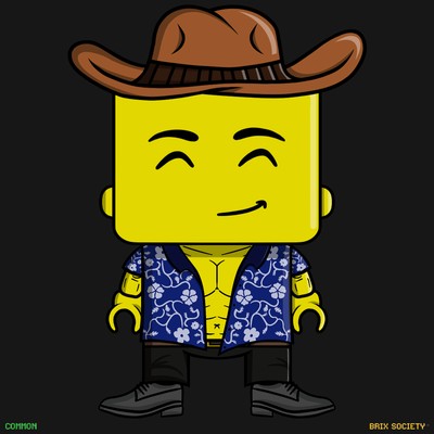 MiniBrix #6494