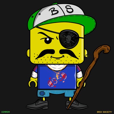 MiniBrix #6739