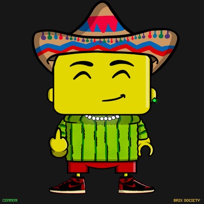MiniBrix #7427
