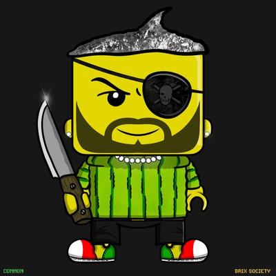 MiniBrix #7569