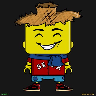 MiniBrix #7895