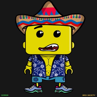 MiniBrix #8050