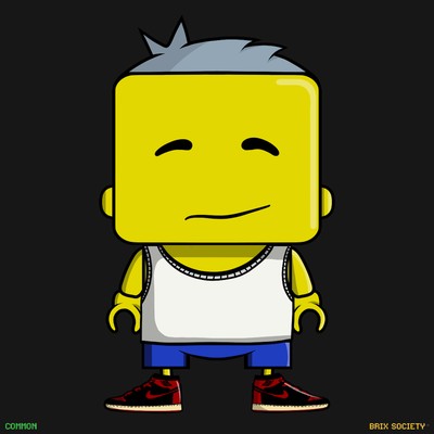 MiniBrix #8301