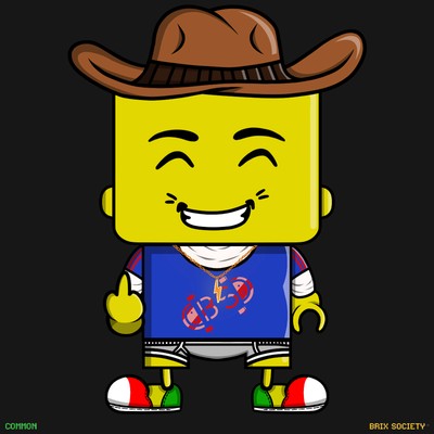 MiniBrix #8416