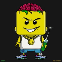 MiniBrix #8521