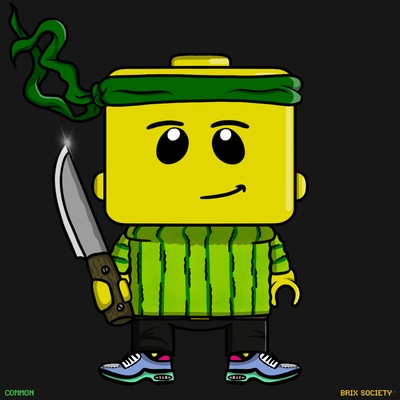 MiniBrix #8685